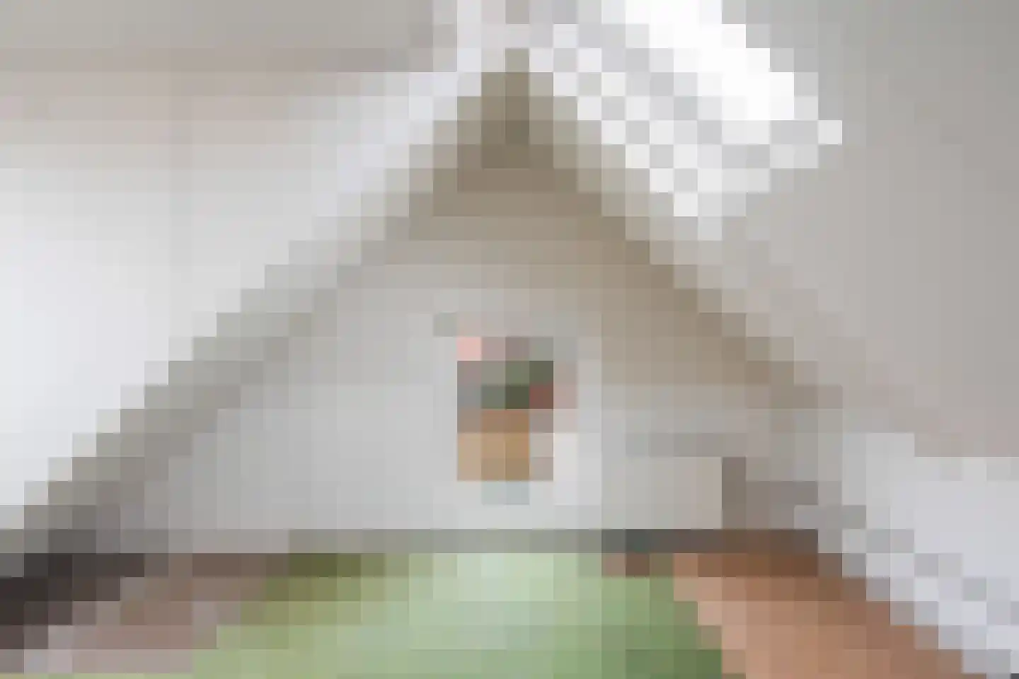 Dwinger 12 Stavoren thumbnail 33