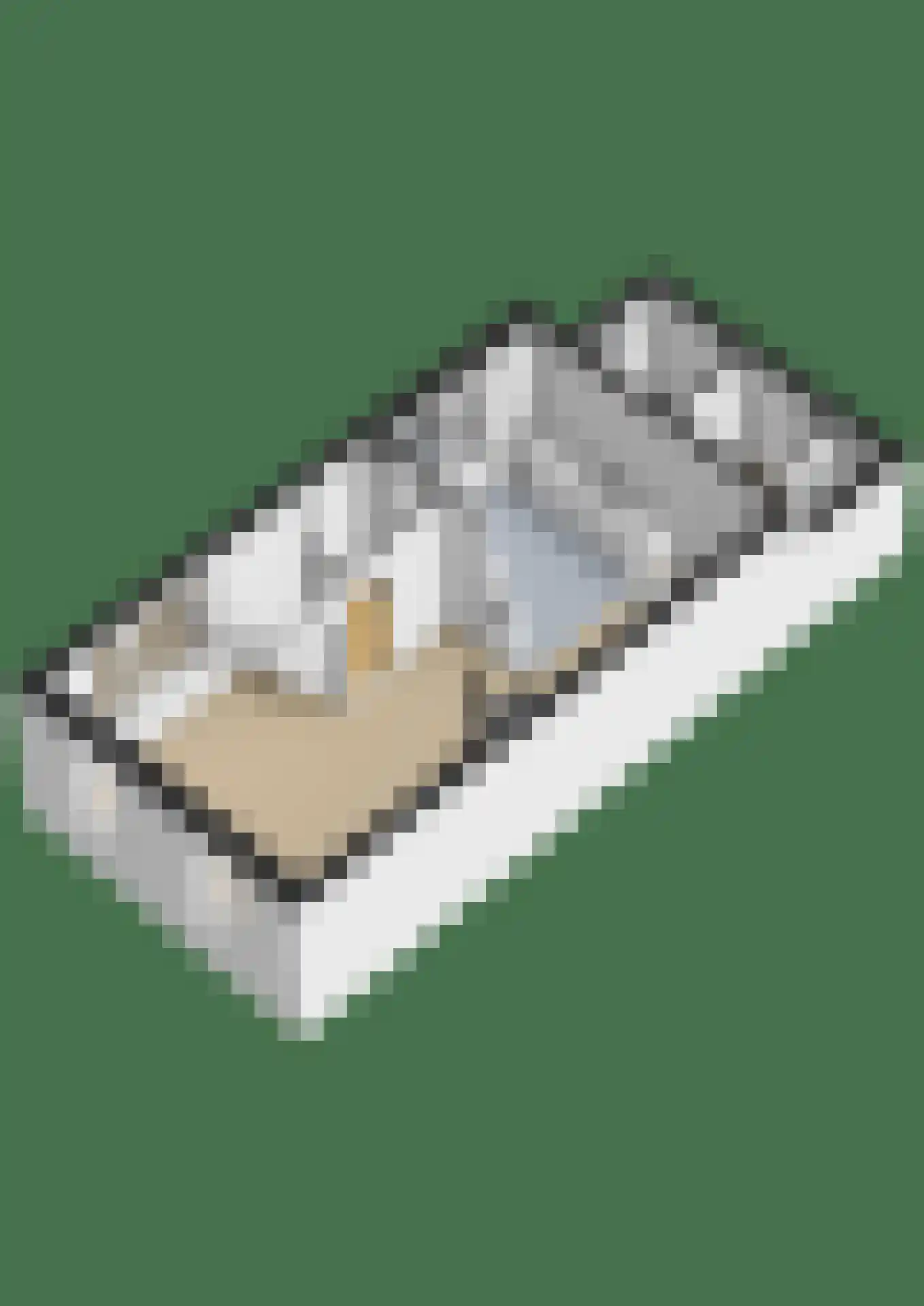 Dwinger 12 Stavoren thumbnail 40