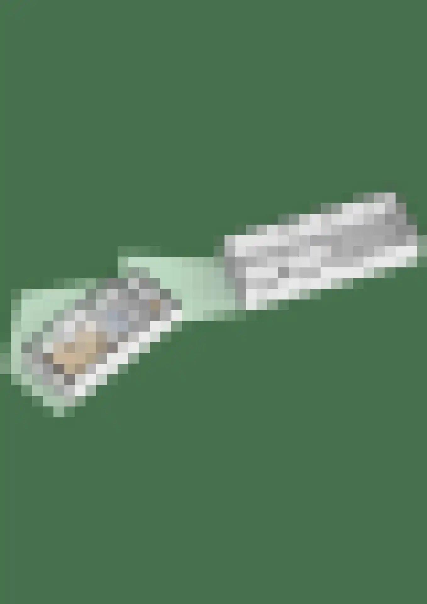 Dwinger 12 Stavoren thumbnail 48
