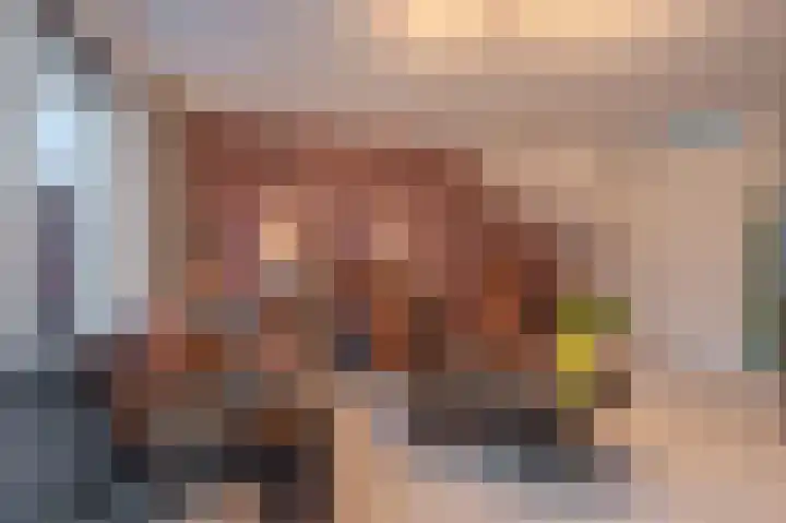 Dwinger 15 Blauwestad thumbnail 16