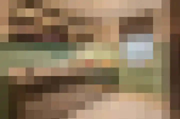 Dwinger 15 Blauwestad thumbnail 21