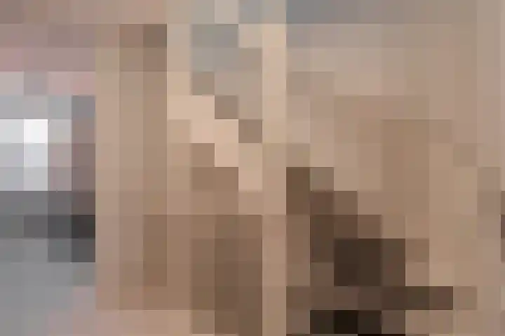Dwinger 15 Blauwestad thumbnail 23