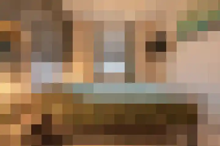 Dwinger 15 Blauwestad thumbnail 26