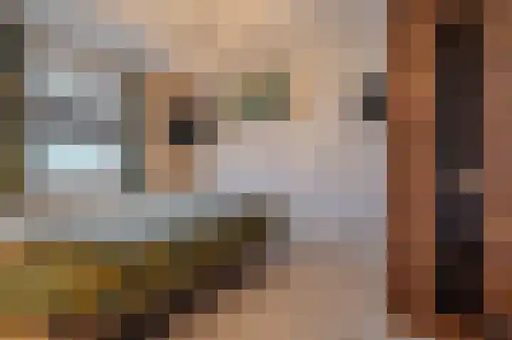 Dwinger 15 Blauwestad thumbnail 27