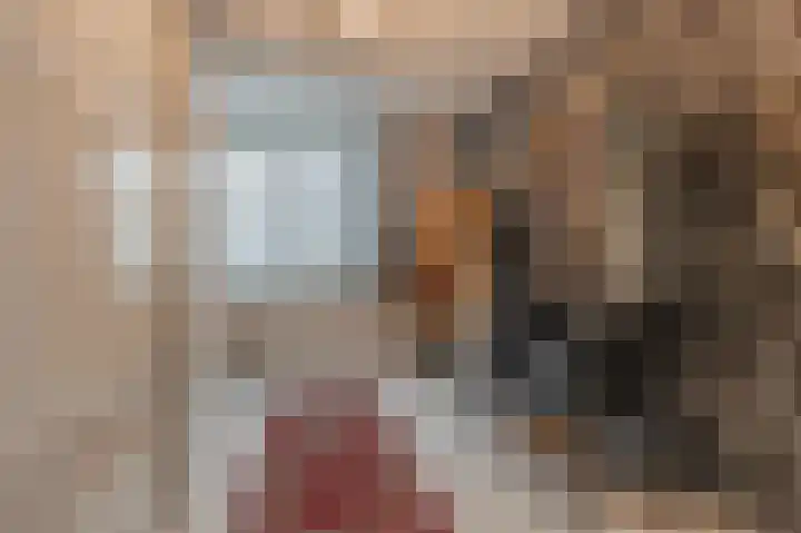 Dwinger 15 Blauwestad thumbnail 30