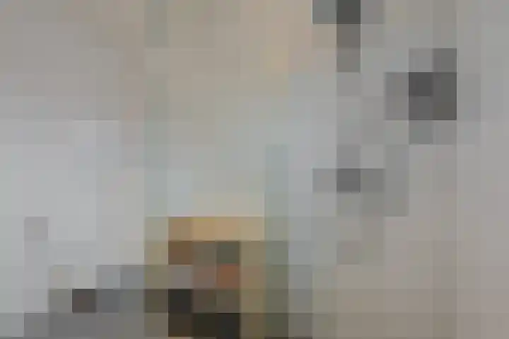 Dwinger 15 Blauwestad thumbnail 34