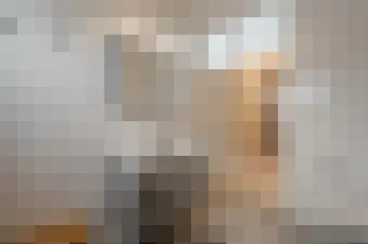 Dwinger 15 Blauwestad thumbnail 35