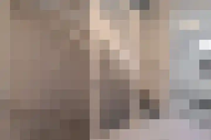 Dwinger 15 Blauwestad thumbnail 36