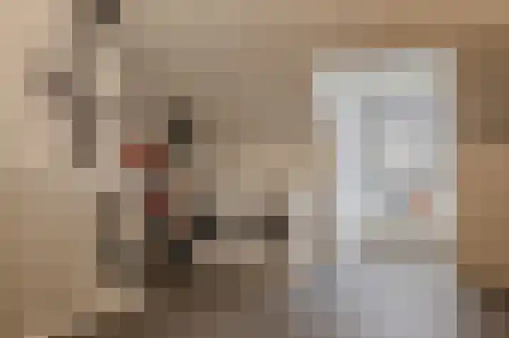 Dwinger 15 Blauwestad thumbnail 38