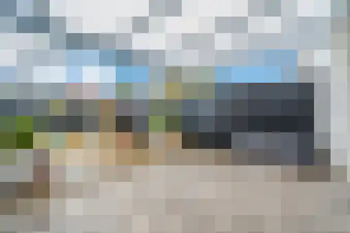 Dwinger 15 Blauwestad thumbnail 42