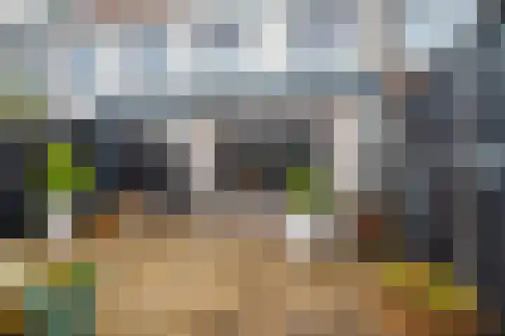 Dwinger 15 Blauwestad thumbnail 45