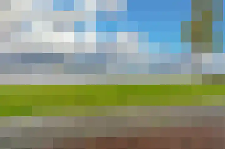 Dwinger 15 Blauwestad thumbnail 47
