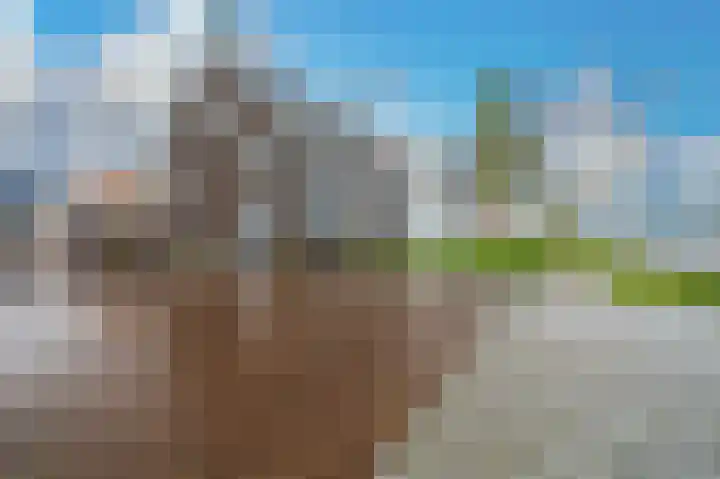 Dwinger 15 Blauwestad thumbnail 5