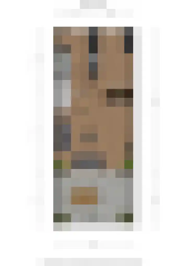 Dwinger 15 Blauwestad thumbnail 51