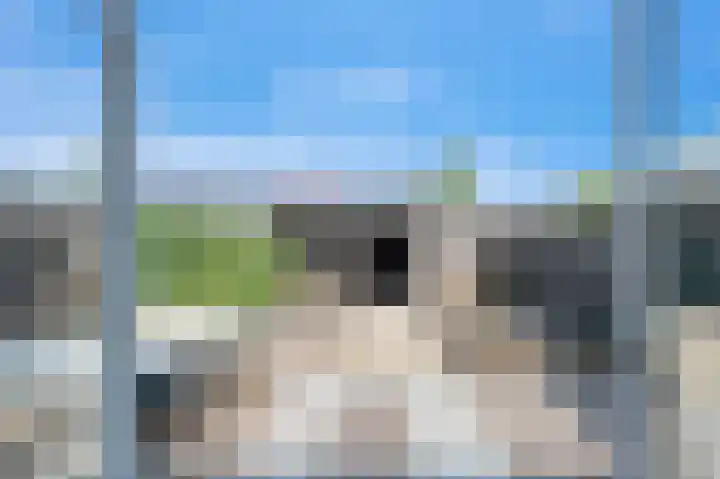 Dwinger 27 Blauwestad thumbnail 11