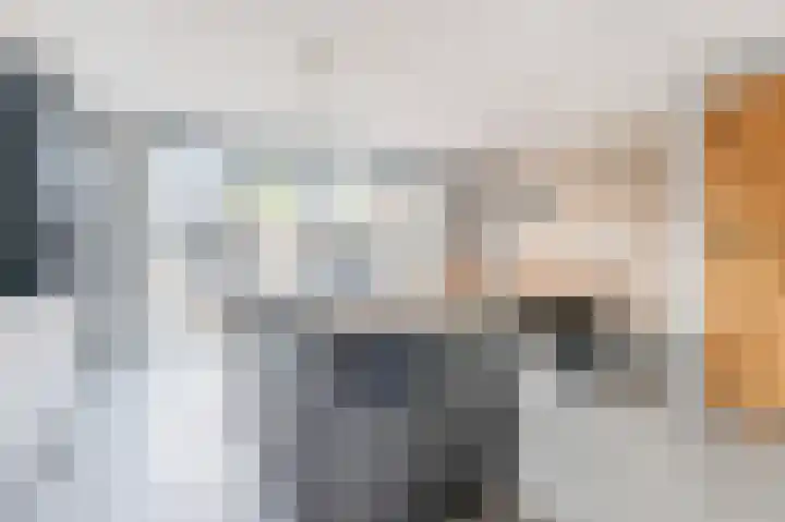Dwinger 27 Blauwestad thumbnail 12
