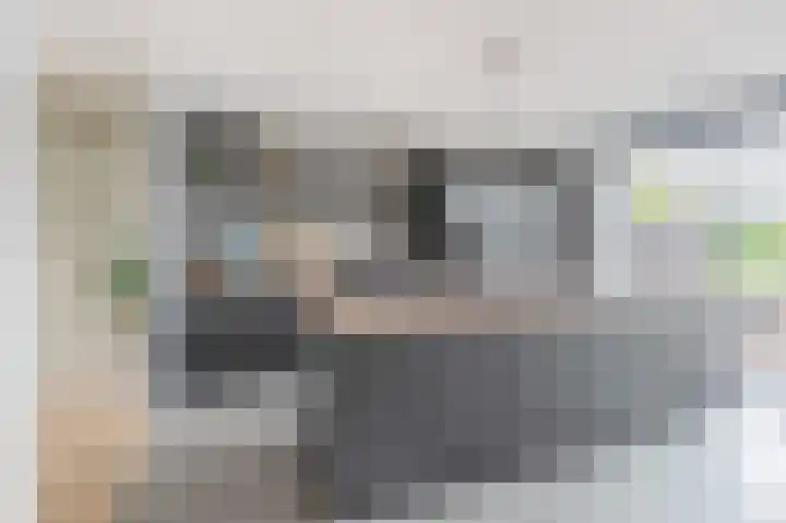 Dwinger 27 Blauwestad thumbnail 13