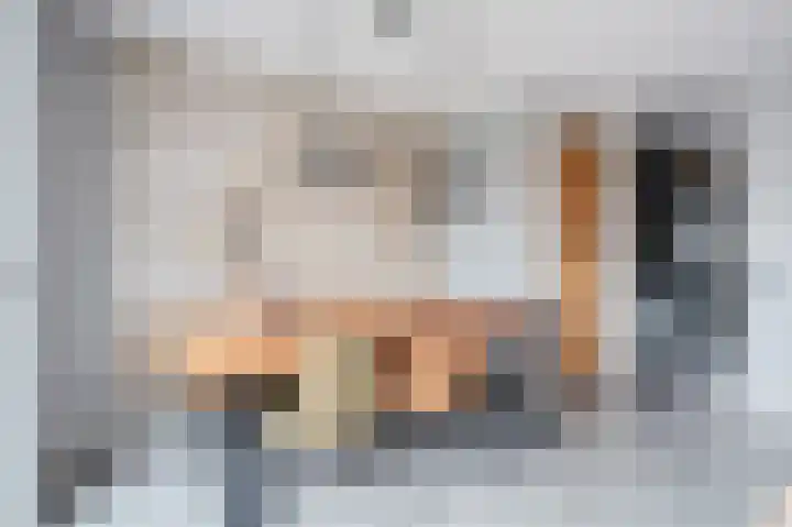 Dwinger 27 Blauwestad thumbnail 16