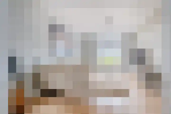 Dwinger 27 Blauwestad thumbnail 17