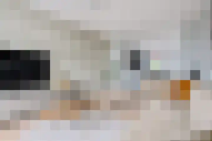 Dwinger 27 Blauwestad thumbnail 19