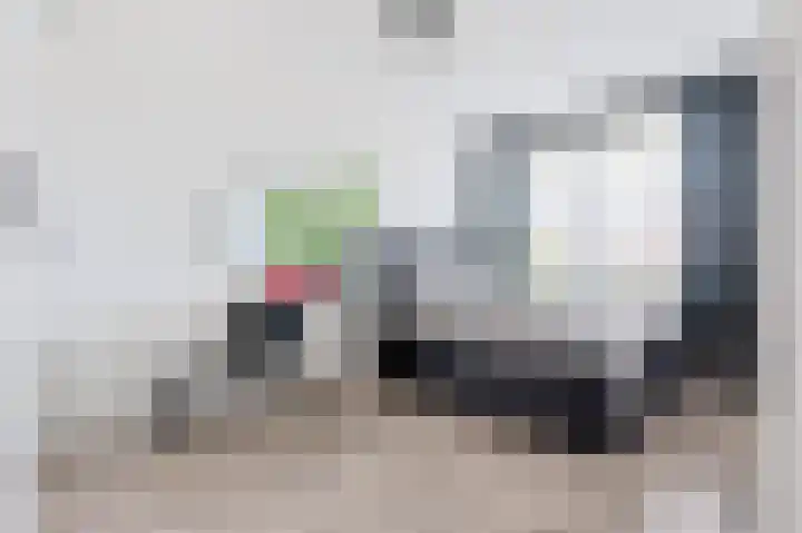Dwinger 27 Blauwestad thumbnail 22