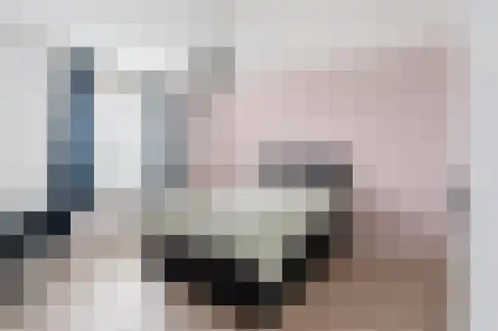 Dwinger 27 Blauwestad thumbnail 26