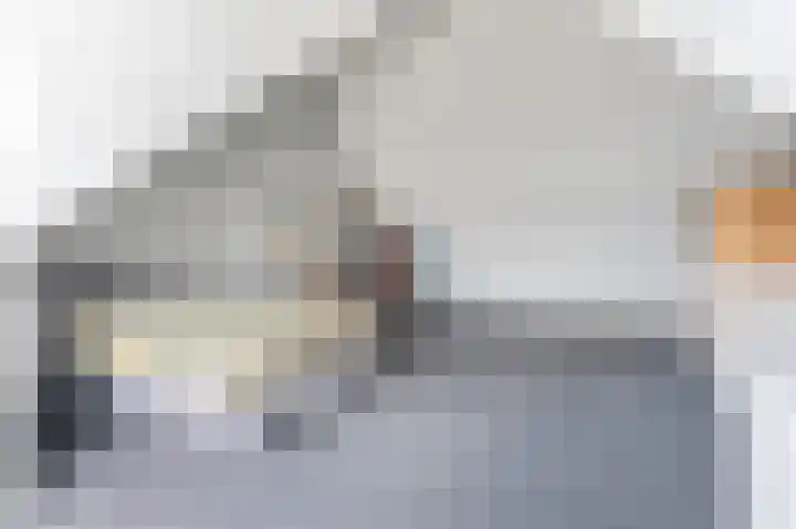 Dwinger 27 Blauwestad thumbnail 34