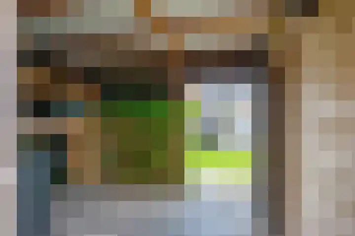 Dwinger 27 Blauwestad thumbnail 40