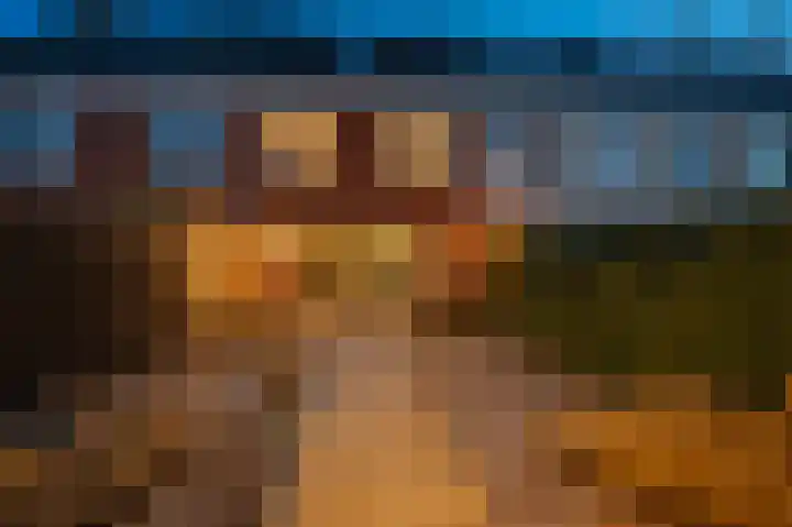 Dwinger 27 Blauwestad thumbnail 46