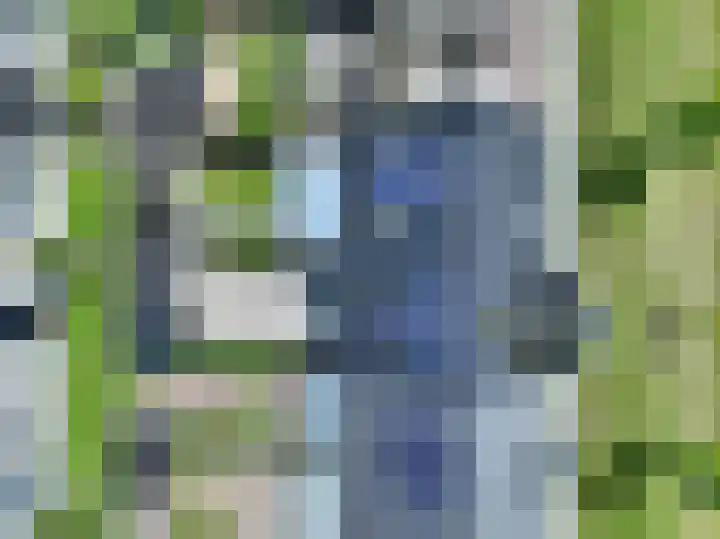 Dwinger 27 Blauwestad thumbnail 48