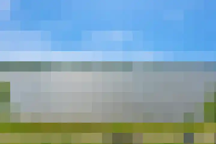 Dwinger 27 Blauwestad thumbnail 51