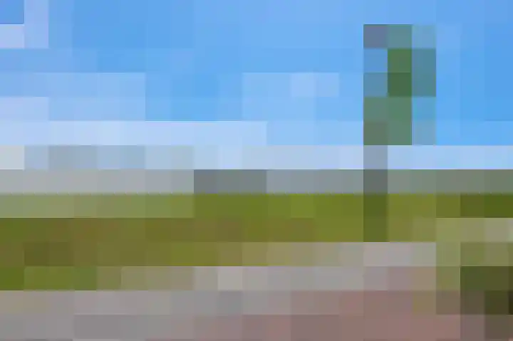 Dwinger 27 Blauwestad thumbnail 52