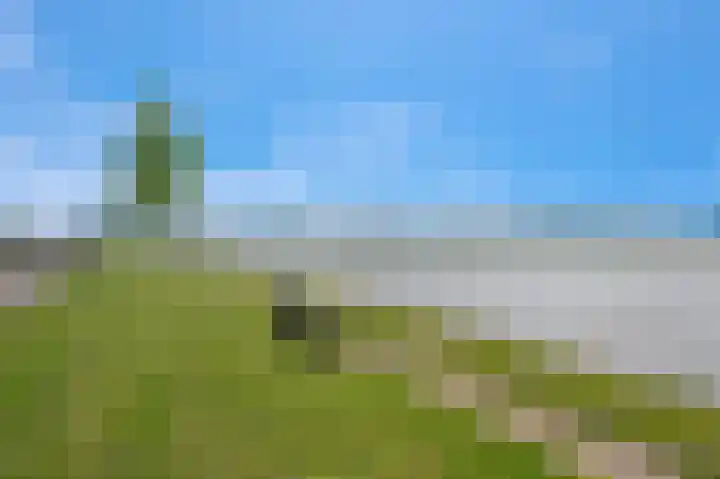 Dwinger 27 Blauwestad thumbnail 56