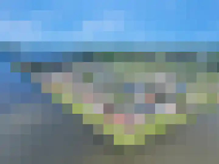 Dwinger 27 Blauwestad thumbnail 58
