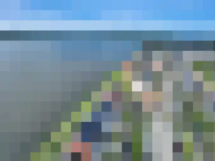 Dwinger 27 Blauwestad thumbnail 59