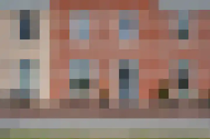 Dwinger 27 Blauwestad thumbnail 6