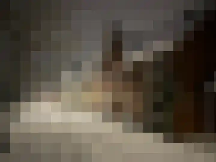 Dwinger 27 Blauwestad thumbnail 65