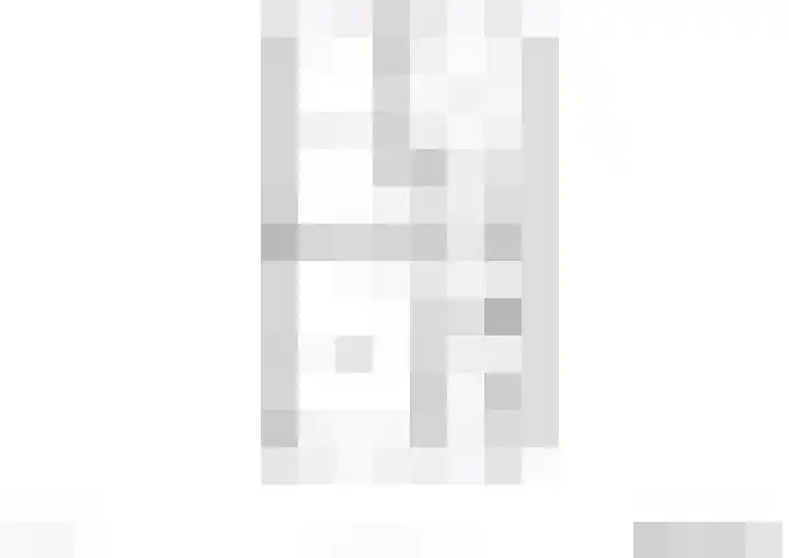 Dwinger 27 Blauwestad thumbnail 68
