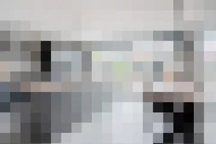 Dwinger 27 Blauwestad thumbnail 9