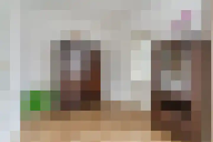 Dyckmeesterstraat 38 Hoogeloon thumbnail 10