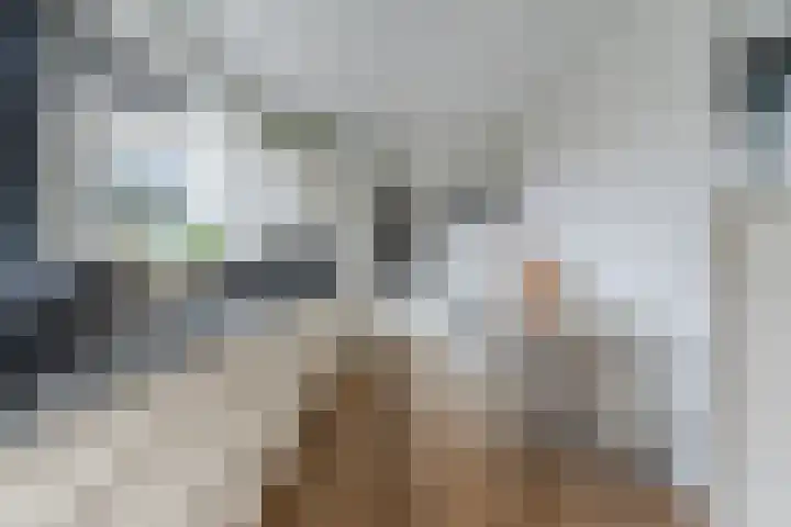 Dyckmeesterstraat 38 Hoogeloon thumbnail 11