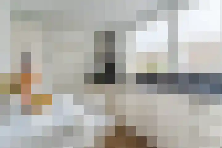 Dyckmeesterstraat 38 Hoogeloon thumbnail 12