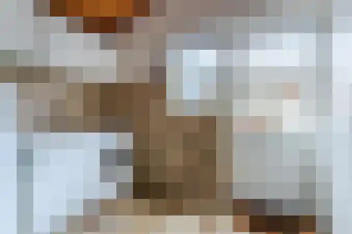 Dyckmeesterstraat 38 Hoogeloon thumbnail 13