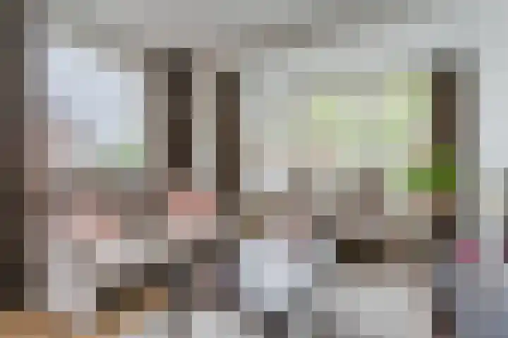 Dyckmeesterstraat 38 Hoogeloon thumbnail 14