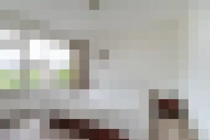 Dyckmeesterstraat 38 Hoogeloon thumbnail 15