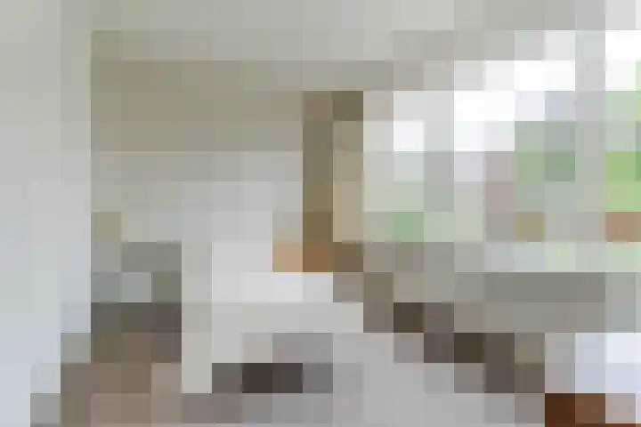 Dyckmeesterstraat 38 Hoogeloon thumbnail 16