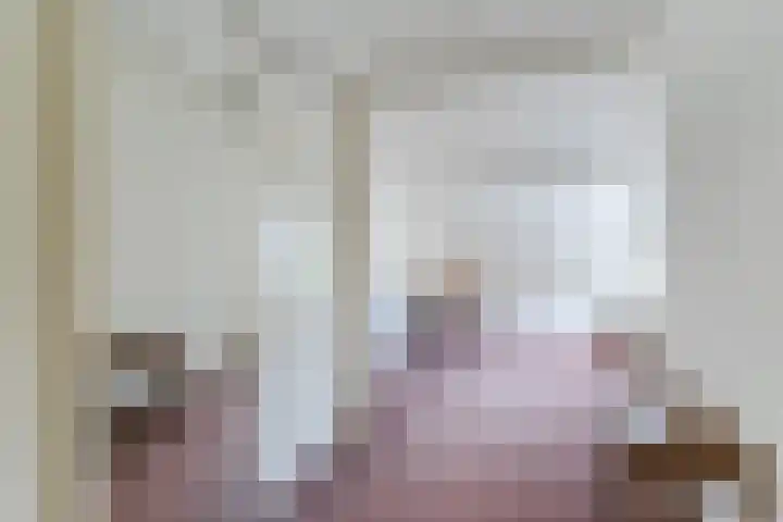 Dyckmeesterstraat 38 Hoogeloon thumbnail 18