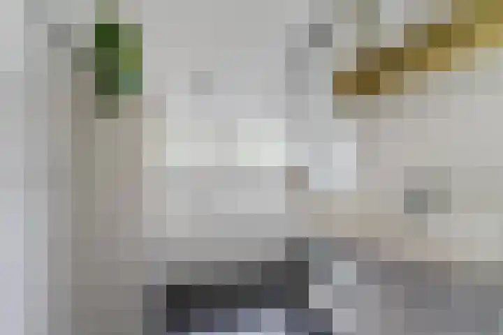 Dyckmeesterstraat 38 Hoogeloon thumbnail 20