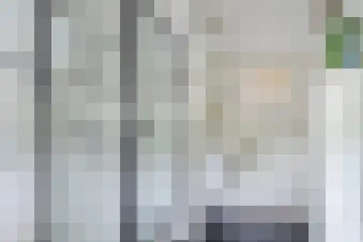 Dyckmeesterstraat 38 Hoogeloon thumbnail 21
