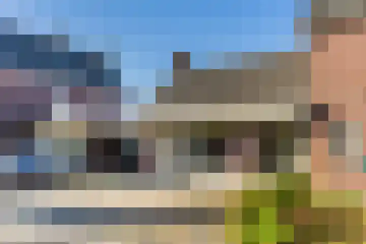 Dyckmeesterstraat 38 Hoogeloon thumbnail 33